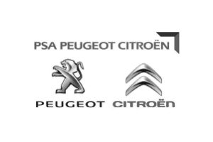 peugeot_citroen